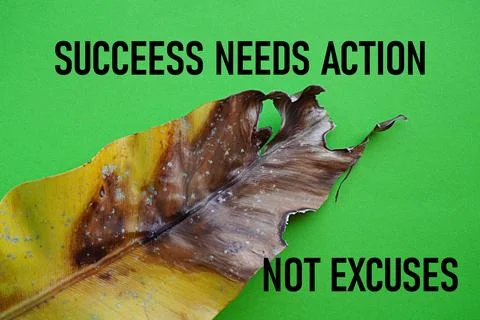 Motivational quote, success needs action not excuses. Self-inspiration 스톡 사진