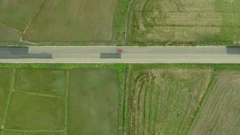 Moto Cycle through rice fields 50P HD Stock Footage 226866218