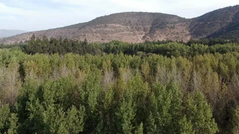 Motocross Stock Footage 164803567