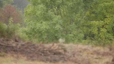 Motocross Race Stock-Footage 221496284