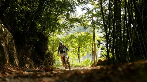 Motocross through the green forest 库存影片 99548762