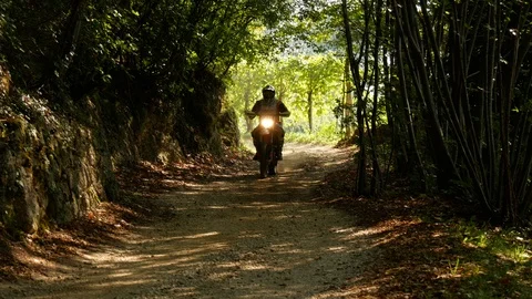 Motocross through the green forest 库存影片 99552144