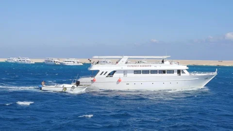Motor Boat Excursion in the Red Sea Stock Footage 129333449