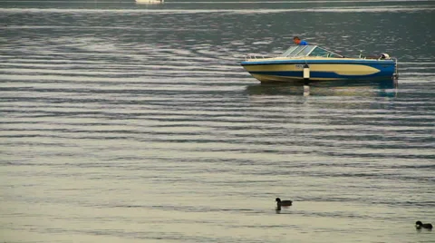 Motor boat Stock Footage 31748265