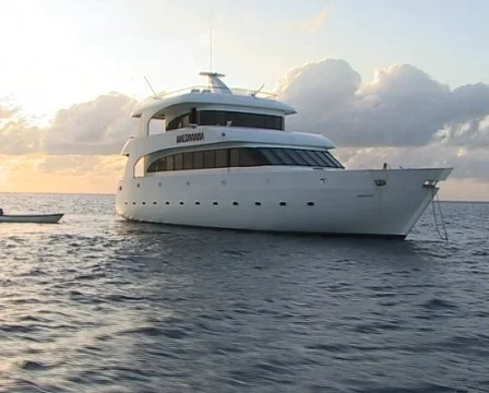 Motor boat in the ocean Stockbeeldmateriaal 378136