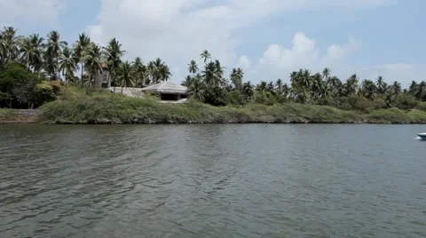 Motor Boat passing by Palm Trees on the Coast in Pondicherry Stock Footage 63661895