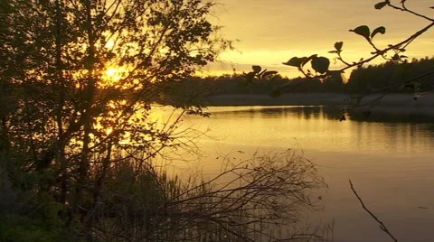 Motor Boat On The River At Sunset Stock Footage 54749081