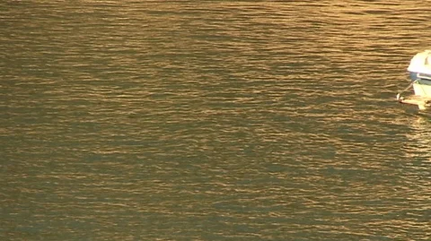 Motor Boat Wake Stock Footage 93092237