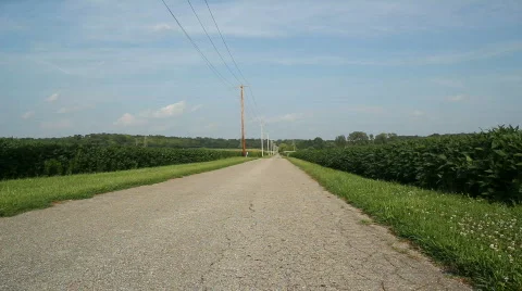 Motor cycle drive by  動画素材 798503