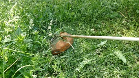 Motor mower mow grass. Stock Footage 86550810