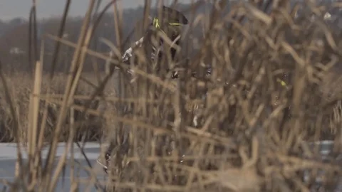 Motor stuntman trick Stock Footage 75414387