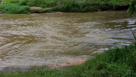 Motor2 Stock Footage 86783557