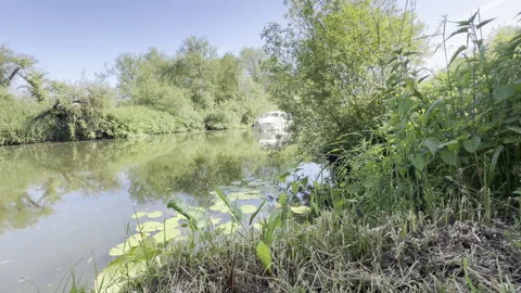 Motorboat approaching on calm stream 4K Vídeos de archivo 335775453