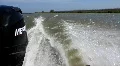 Motorboat HD Footage