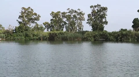 Motorboat Stock Footage 7758031