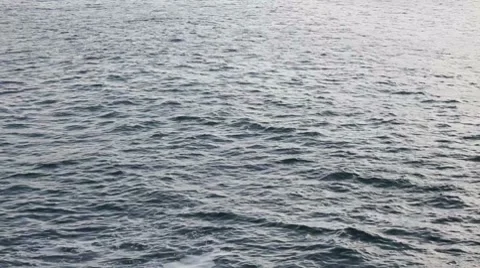 Motorboat Stock Footage 7899449