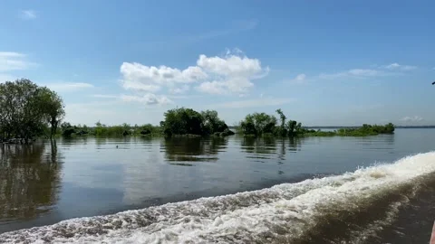 Motorboat navigate through Amazon river during the flooding season in Brazil, 4K Stock Footage 155066834