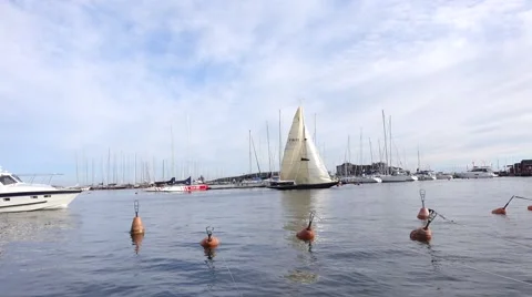 Motorboat passes by sailboat Stock Footage 51448616