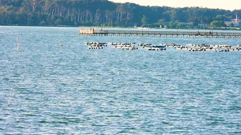 Motorboat passing by Stock Footage 135277520