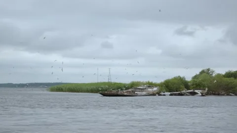 A motorboat sails quickly along a river and lake. The boat sails past a Stock Footage 253565783