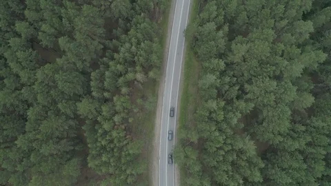 A motorcade of 3 black cars driving along a forest road. Aerial Stock Footage