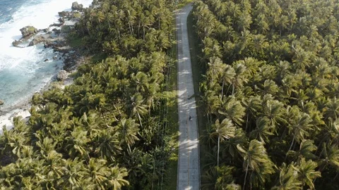 Motorcycle driving next to the sea with palmtrees - Aerial view Stock Footage 103545053
