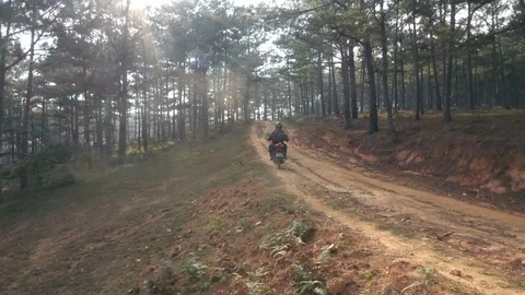 Motorcycle Driving Through Trees on Dirt Road Stock Footage 125537981
