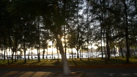 Motorcycle of the evening sun shining through palm trees Video stock 93782251