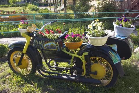 Motorcycle with flowers Stock-Fotos