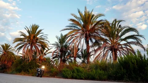 Motorcycle with full lights on, palm trees on the background at sunset Video stock 139540414