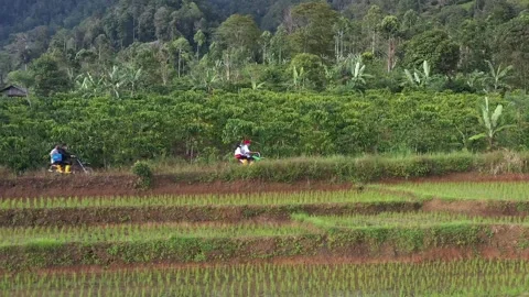 Motorcycle group Stock Footage 272768368