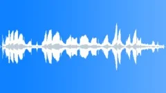 MOTORCYCLE, HARLEY DAVIDSON SOFTTAILSound Effect