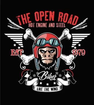 Motorcycle helmet monkey Stock Illustration