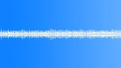 Motorcycle Idling 1Sound Effect