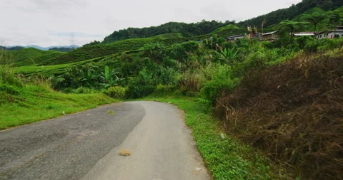 Motorcycle Mount Through The Cameron Highlands in Northern Malaysia Stock Footage 146628241