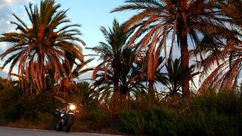 A motorcycle parked in front of palm trees at the sunset Video stock 139540496