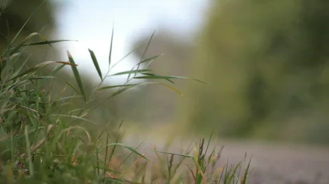 Motorcycle pass by2 Видео 842696