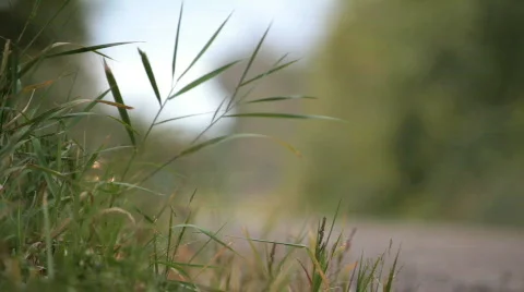 Motorcycle pass by Видео 842709