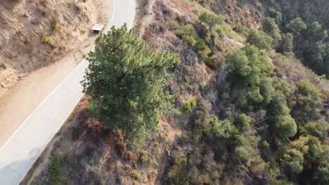 Motorcycle Passing Tree Video stock 159571007