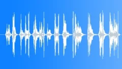 Motorcycle, RaceSound Effect