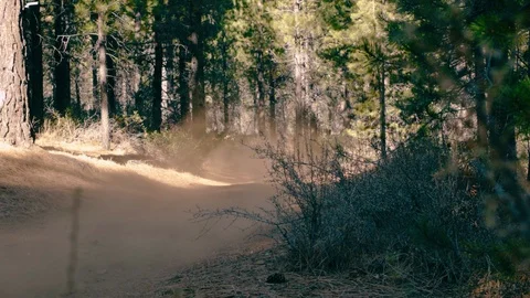 Motorcycle races through forest on dirt trail Видео 103564925