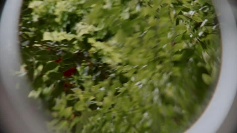 Motorcycle rear view mirror on trees. City concept Stock Footage 289746524
