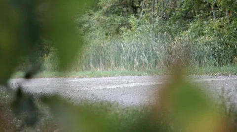 Motorcycle ride by2 Видео 842292