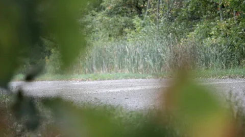 Motorcycle ride by Видео 842323