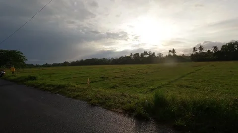 Motorcycle Ride Through Fields in Sleman, Yogyakarta - Morning Rural Landscape Stock Footage 320892034