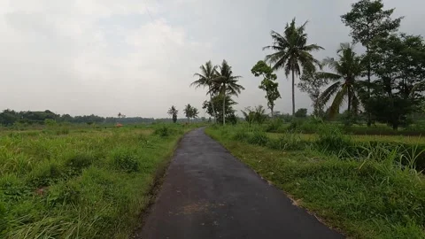 Motorcycle Ride Through Fields – Yogyakarta, Indonesia Stock Footage 320892854