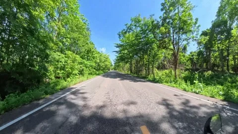 Motorcycle Ride Through a Forest Road in Northern Thailand Stock Footage 344908268