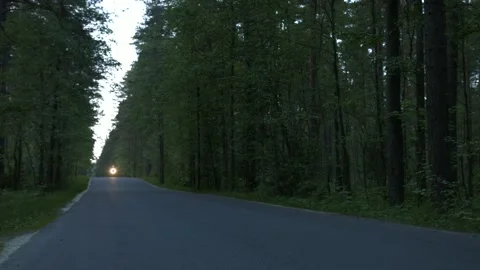 Motorcycle rides on the road in the forest Stock Footage 147554424