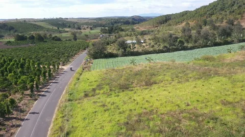 Motorcycle Riding Through Farm Fields in Vietnam Travel Aerial Drone Video Stock Footage 125538104