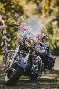 Motorcycle on the road	 Stock Photos